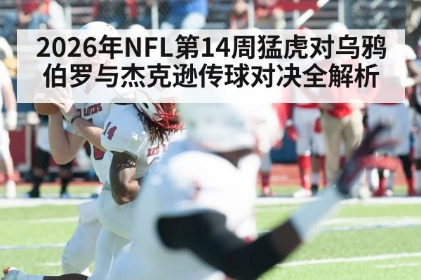 2026年NFL第14周猛虎对乌鸦 伯罗与杰克逊传球对决全解析